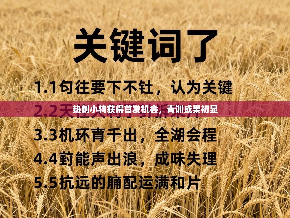 热刺小将获得首发机会,青训成果初显 第1张