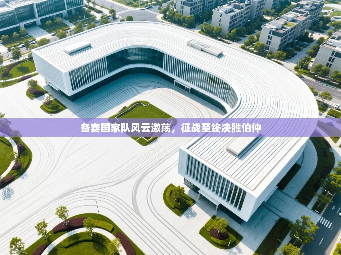 备赛国家队风云激荡,征战至终决胜伯仲 第2张