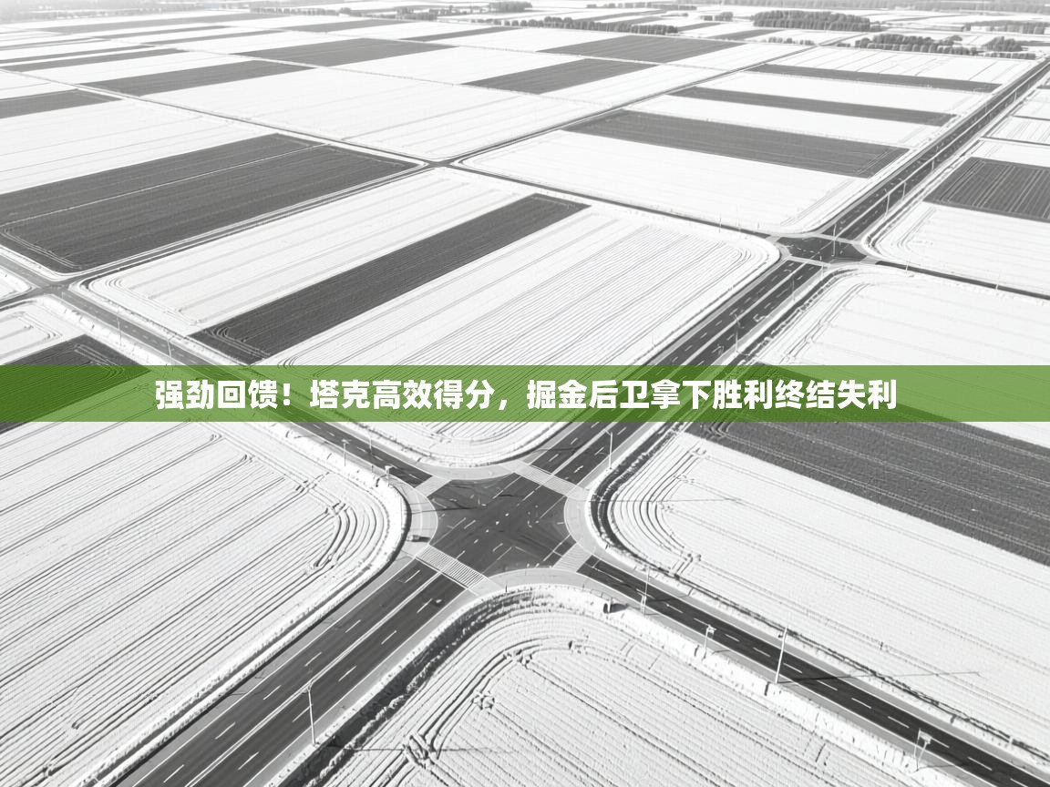 强劲回馈!塔克高效得分,掘金后卫拿下胜利终结失利 第2张